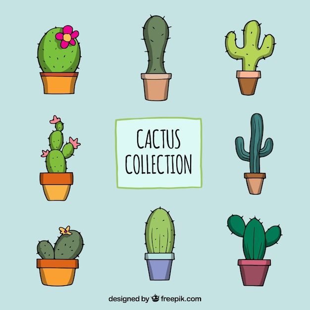 Hand drawn pack of classic cactus