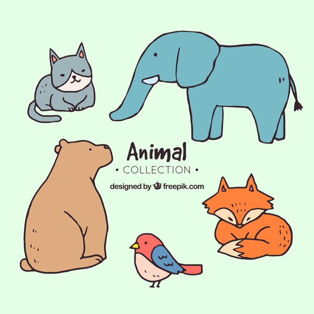 Hand drawn pack of cute animals