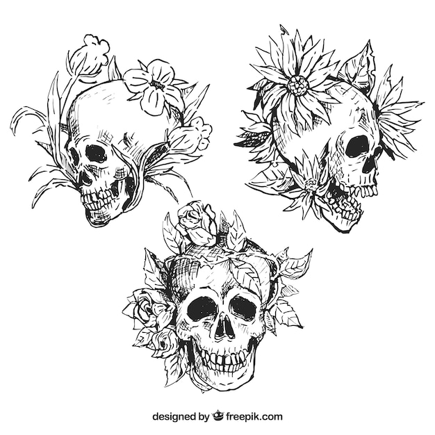 Free vector hand-drawn pack of three floral skulls