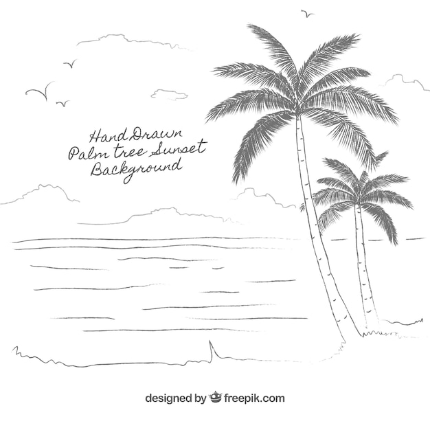 Hand drawn palm tree background