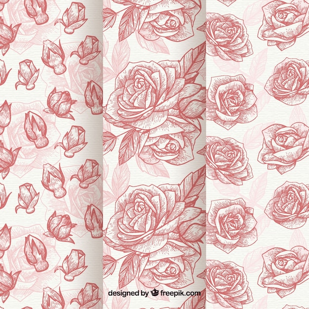 Free Vector hand drawn patterns of roses set