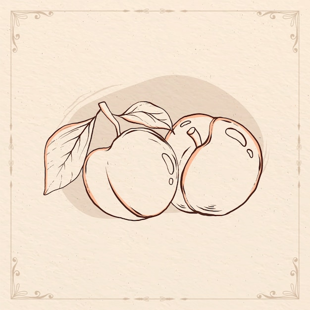 Free Vector hand drawn peach outline illustration