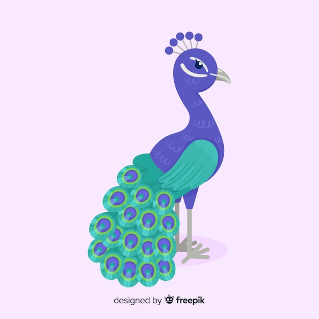 Free vector hand drawn peacock