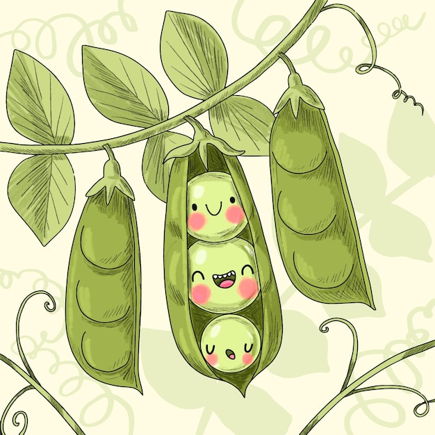 Free vector hand drawn peas cartoon illustration