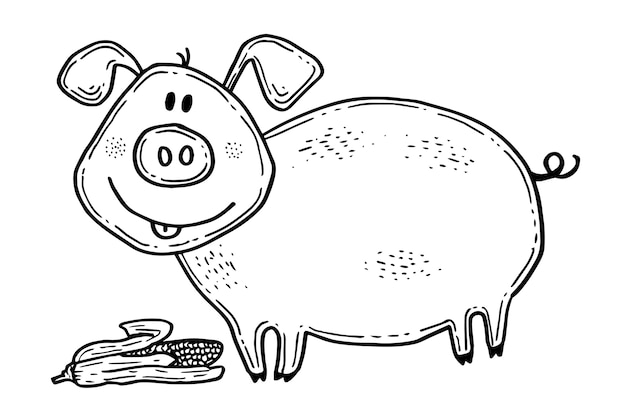 Hand drawn pig outline illustration