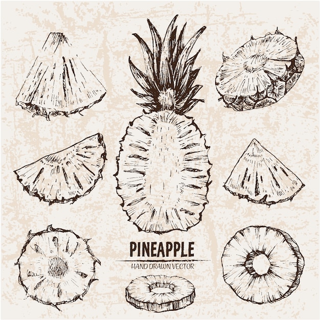 Free Vector hand drawn pineapple collection