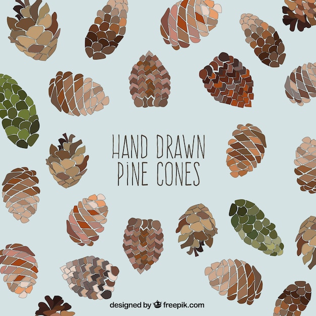 Hand drawn pinecones