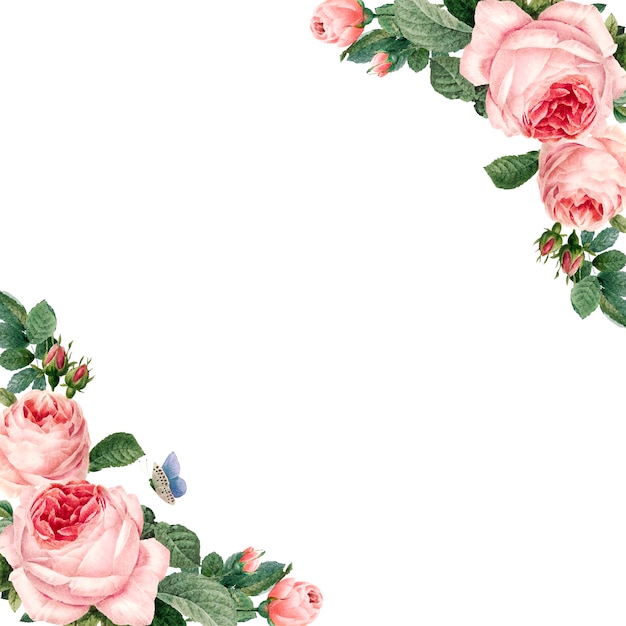 Free vector hand drawn pink roses frame on white background vector