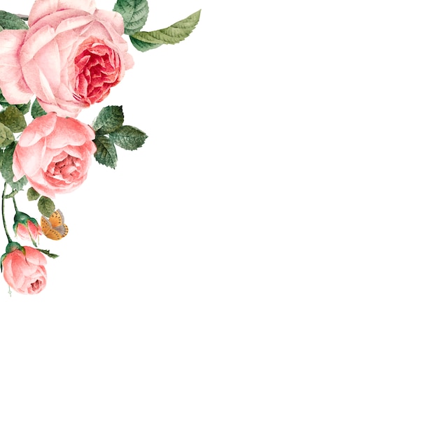 Free Vector hand drawn pink roses frame on white background vector