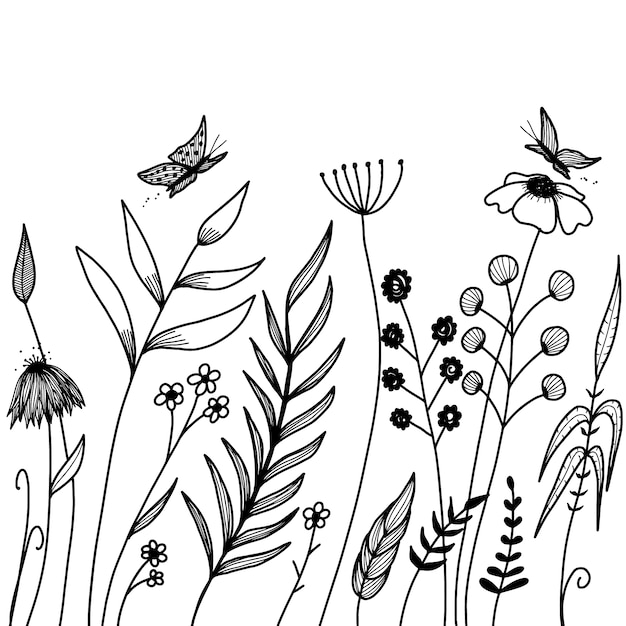 Hand drawn plants design