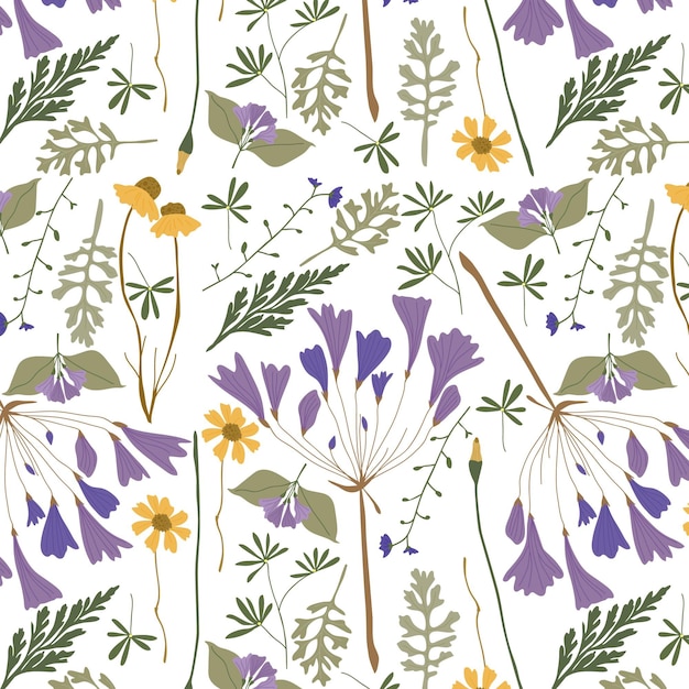 Free Vector hand drawn pressed flowers pattern