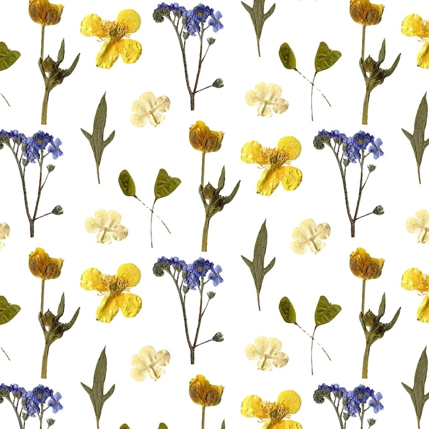 Free Vector hand drawn pressed flowers pattern