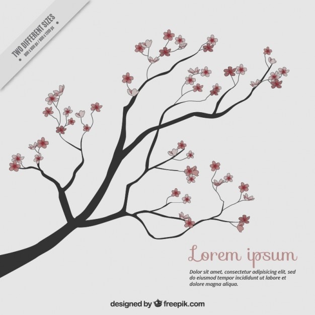 Free vector hand drawn pretty cherry tree in springtime