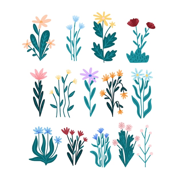 Free Vector hand drawn pretty flower set