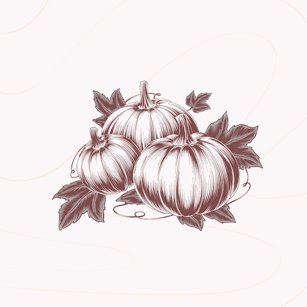 Free Vector hand drawn pumpkin drawing illustration