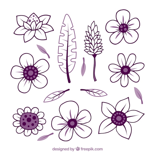 Hand drawn purple tropical flower set