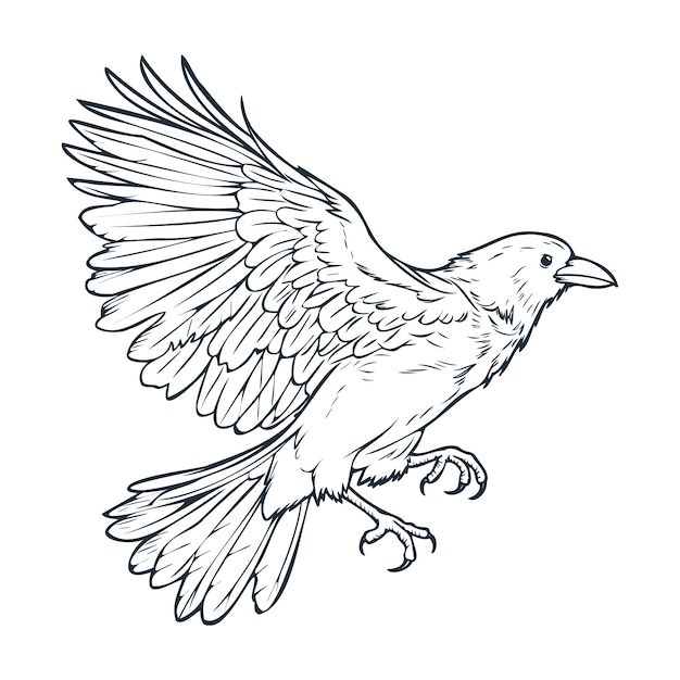 Free Vector hand drawn raven flying drawing illustration