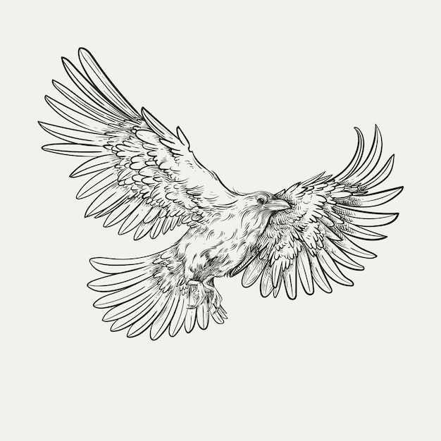 Free vector hand drawn raven flying drawing illustration