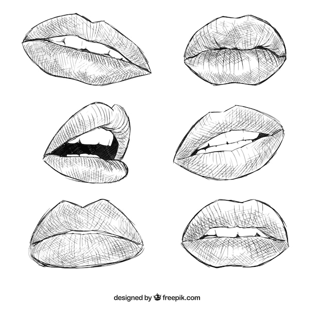 Free Vector  hand drawn realist lips 