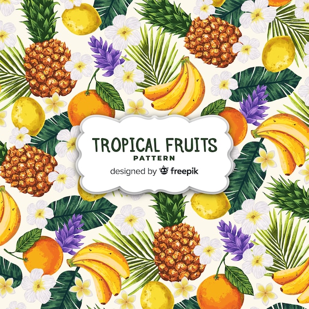 Free Vector hand drawn realistic tropical fruit pattern