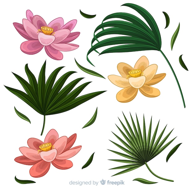 Free Vector hand drawn realistic tropical plants pack