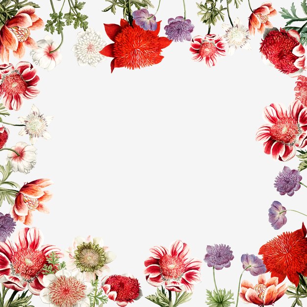 Hand drawn red anemone flower frame with design space