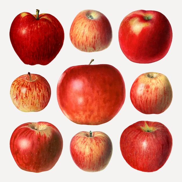 Free vector hand drawn red apples set