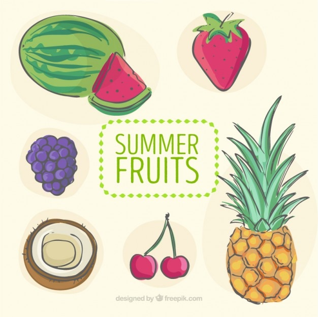 Free vector hand drawn refreshing summer fruits