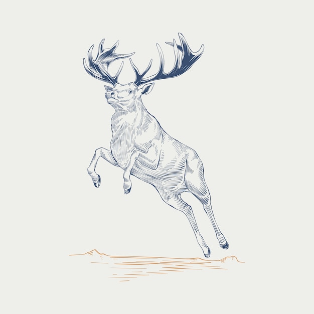 Free Vector hand drawn reindeer  outline illustration