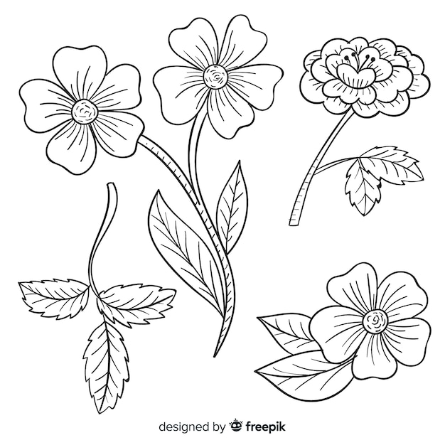 Hand drawn retro variety of flowers