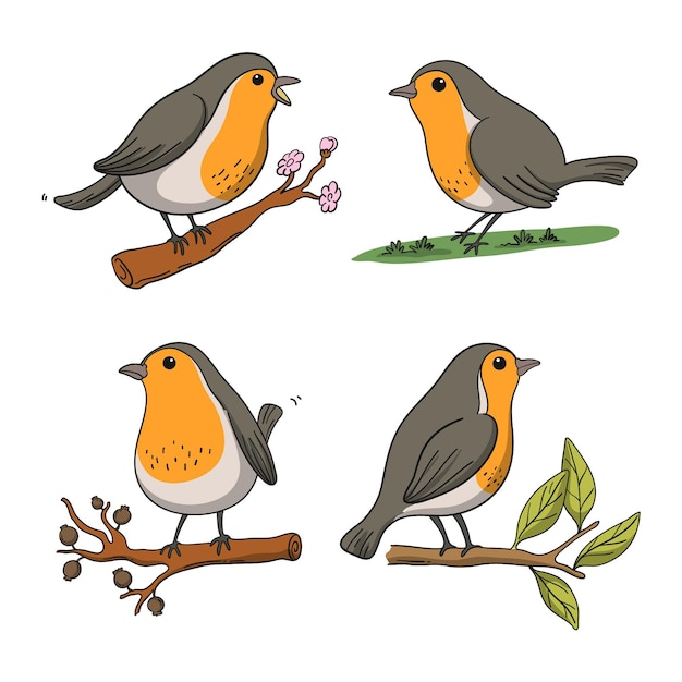 Free Vector hand drawn robin collection