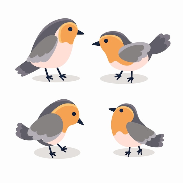 Free Vector hand drawn robin collection