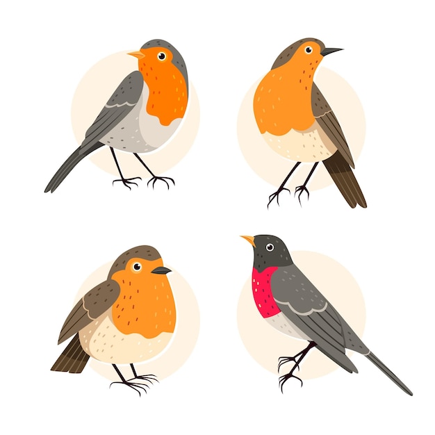 Free Vector hand drawn robin collection