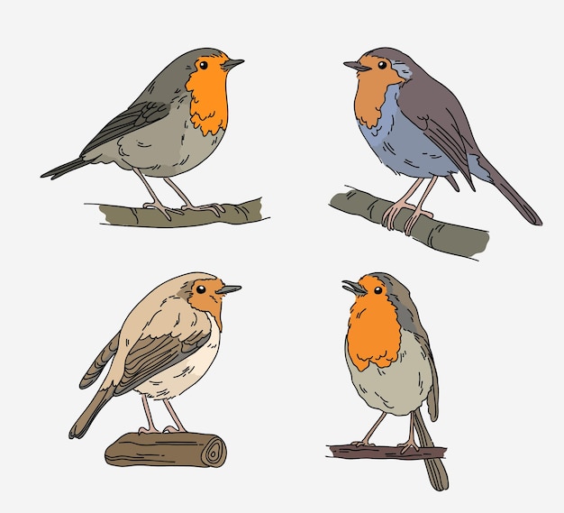 Free Vector hand drawn robin collection