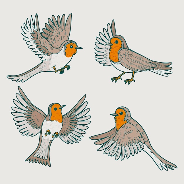 Free Vector hand drawn robin collection