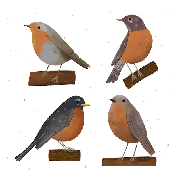 Free Vector hand drawn robin pack