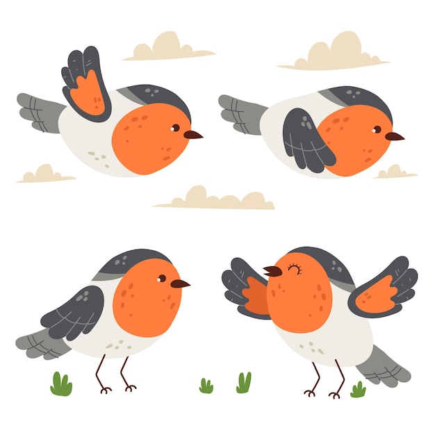 Free Vector hand drawn robin set