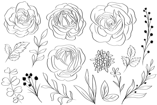 Hand drawn rose and leaves floral isolated clipart