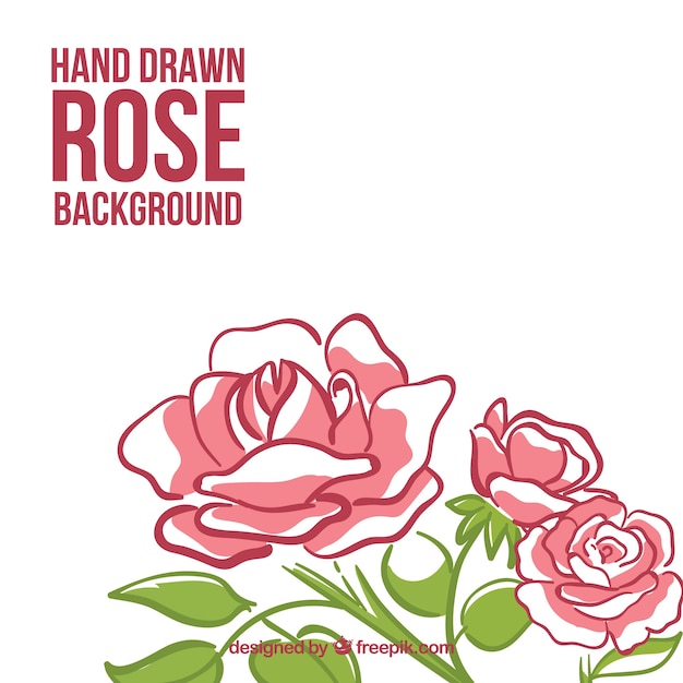 Free Vector hand drawn roses background