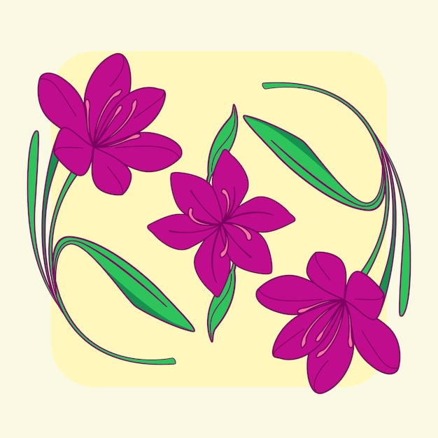 Free Vector hand drawn saffron illustration