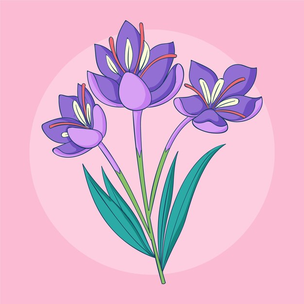 Hand drawn saffron plant illustration