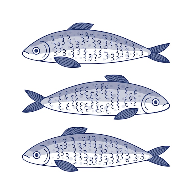 Free Vector hand drawn sardine illustration