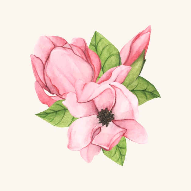 Free Vector hand drawn saucer magnolia flower isolated