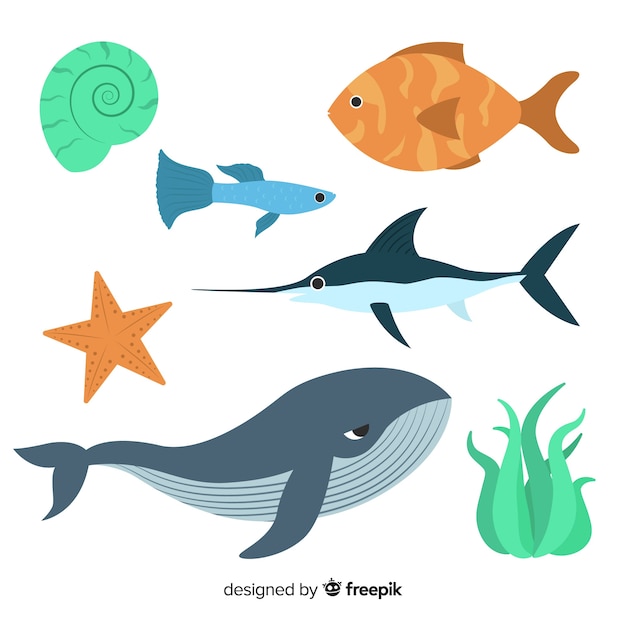 Hand drawn sea animals collection