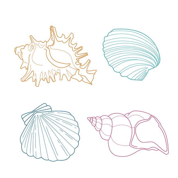 Hand drawn seashell outline illustration