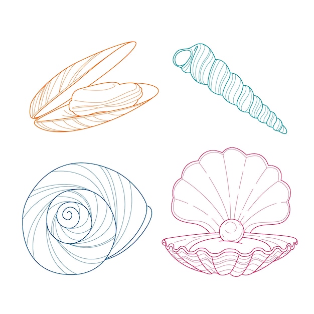 Hand drawn seashell outline illustration