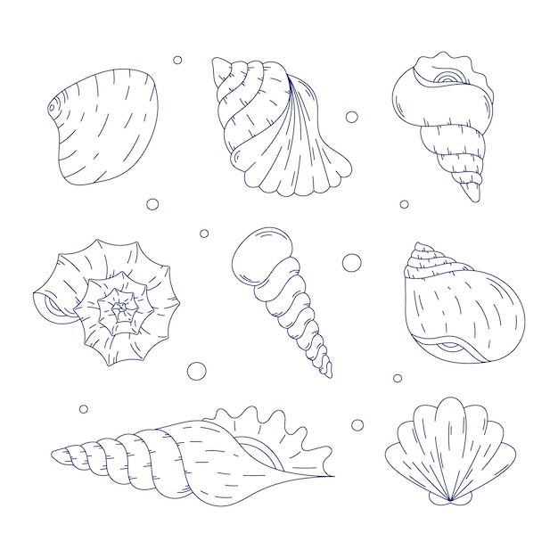 Hand drawn seashell outline illustration