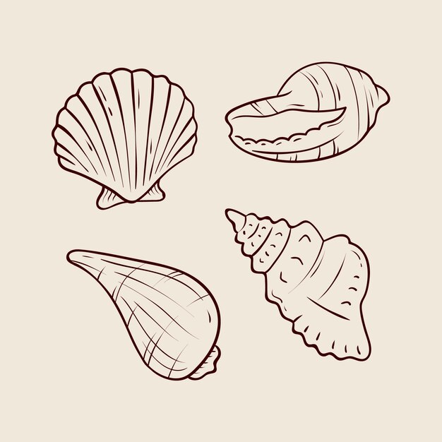 Hand drawn seashell outline illustration