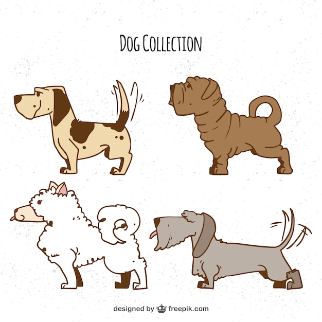 Free Vector hand-drawn selection of four profile dogs