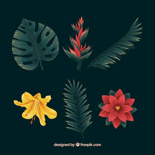 Free Vector hand drawn set of colorful tropical flowers